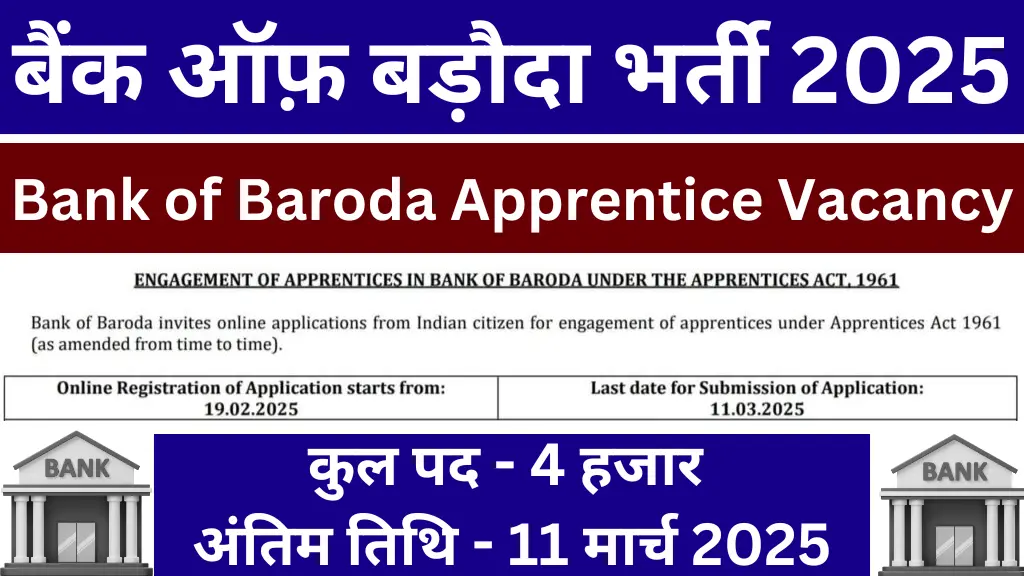 Bank of Baroda Apprentice Vacancy 2025