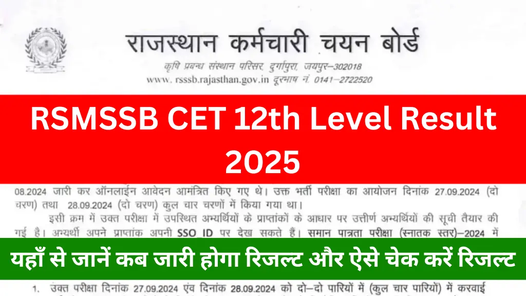 RSMSSB CET 12th Level Result 2025